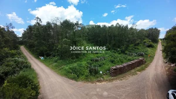 3.8 HECTARES EM CANELA POR 250 MIL