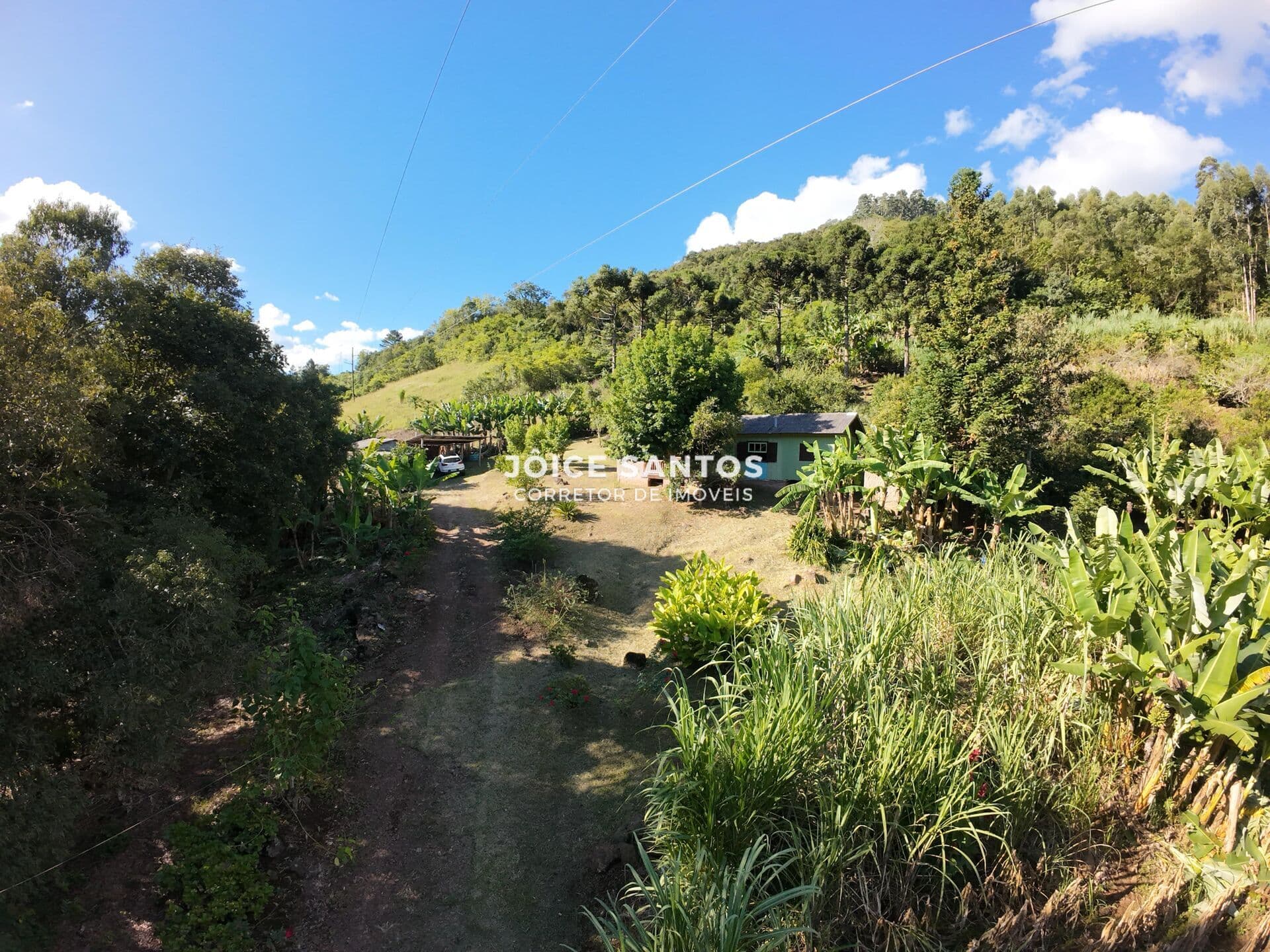🌿 Sítio à venda em Três Coroas – Linha Café | Rota Panorâmica 🌿