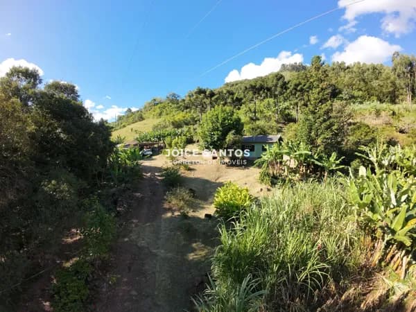🌿 Sítio à venda em Três Coroas – Linha Café | Rota Panorâmica 🌿