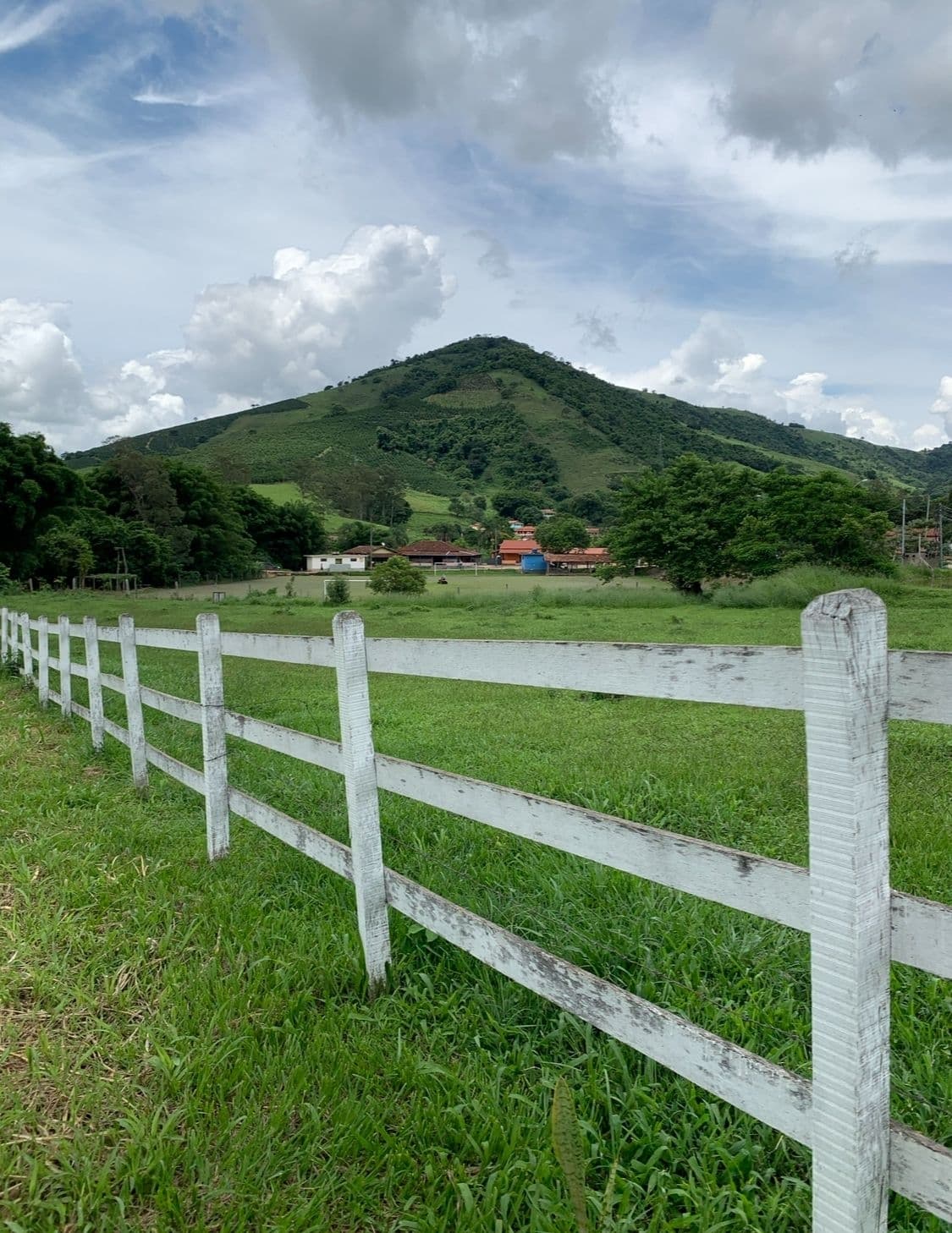 Vende-se um lote Rural no Distrito de São Pedro da Barra-MG