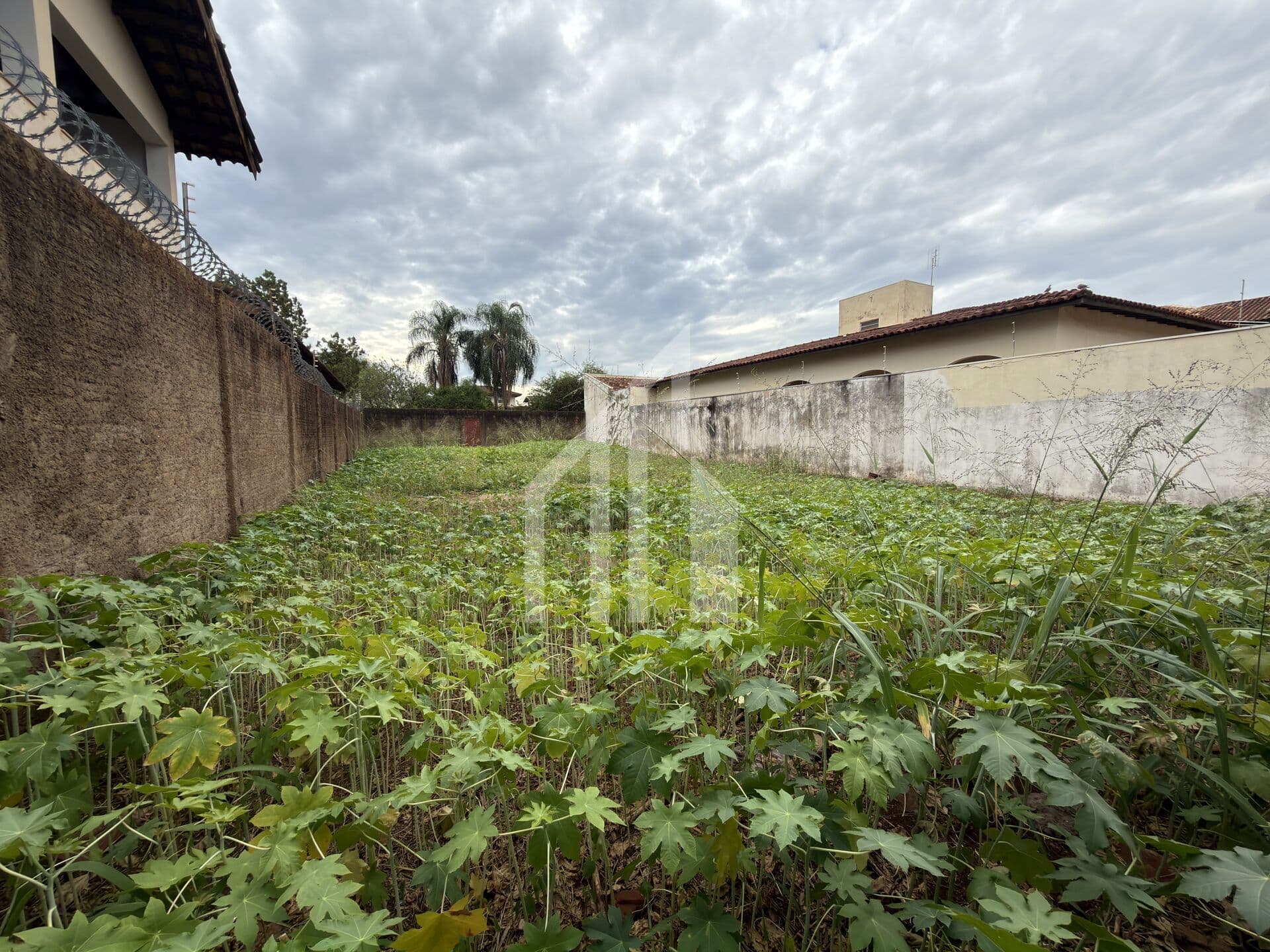 Lote/Terreno em Barretos - Jardim Allah