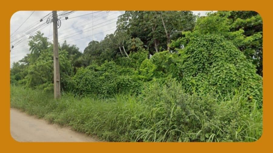 LOTE DE TERRENO C-5, MODIFICADO E UNIFICADO AO LOTE C-8, NO DISTRITO INDUSTRIAL DO CABO DE SANTO AGOSTINHO/PE