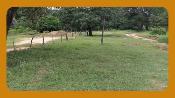 ÁREA DE TERRAS LOCALIZADA NO LUGAR DENOMINADO FAZENDA LARGA, ANTIGA FAZENDA EMA, NO LUGAR DENOMINADO DE CATULÉ E VIADINHO, DISTRITO DE SÃO JOAQUIM, JANUÁRIA/MG