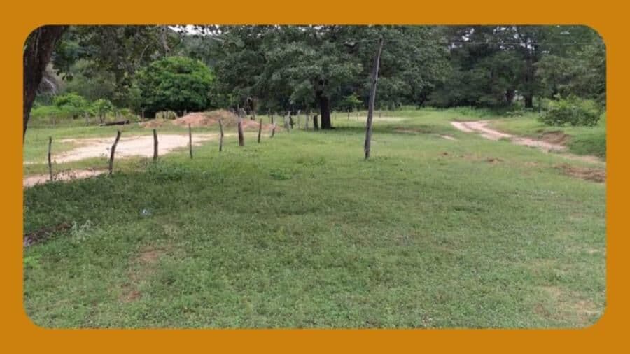 ÁREA DE TERRAS LOCALIZADA NO LUGAR DENOMINADO FAZENDA LARGA, ANTIGA FAZENDA EMA, NO LUGAR DENOMINADO DE CATULÉ E VIADINHO, DISTRITO DE SÃO JOAQUIM, JANUÁRIA/MG