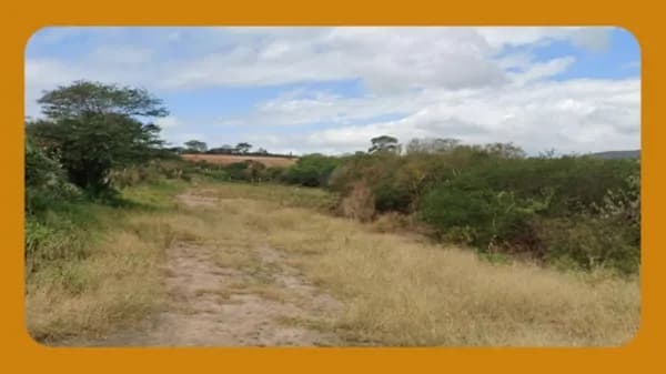 LOTE DE TERRENO Nº 26, DA QUADRA D, DO LOTEAMENTO QUINTAIS DA CORTEGA, GRAVATÁ/PE.