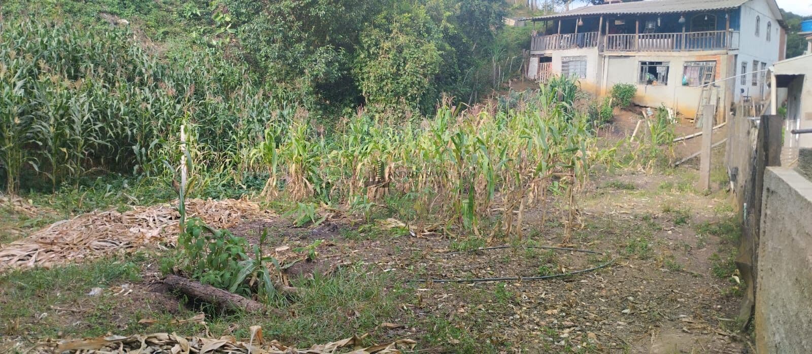 Chácara à venda no Cachoeirinha em Bocaiuva do Sul/PR