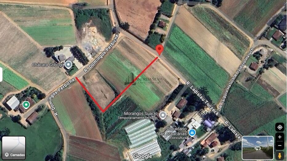Terreno de Esquina - 9.000m² no Colônia Murici (Caminho do Vinho)