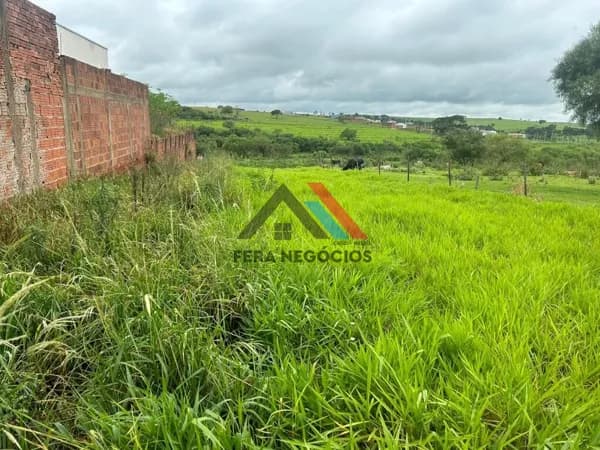 Lote/Terreno em Mirandópolis - Jardim Sampaio I e II