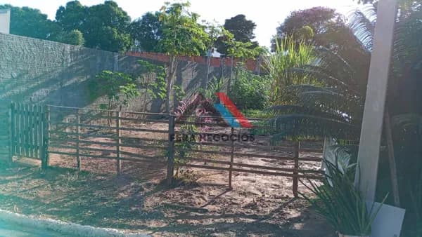 Lote/Terreno em Lavínia - Centro Sul