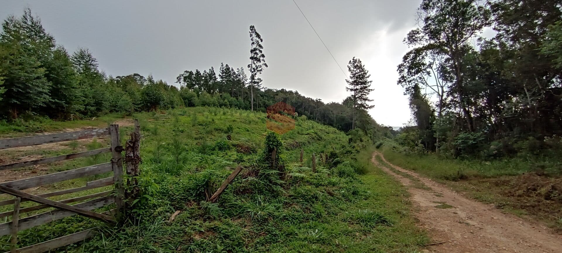 Área Rural 5,42 Alqueires - Campina Vargedo!