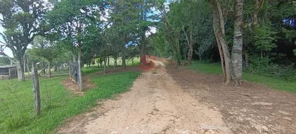 Chácara/Área - Retiro Grande - Campo Largo - PR