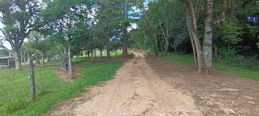 Chácara/Área - Retiro Grande - Campo Largo - PR
