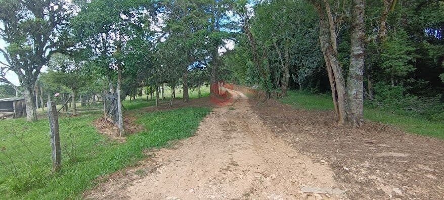 Chácara/Área - Retiro Grande - Campo Largo - PR