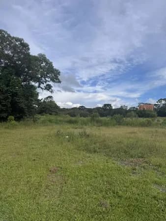 Chácara -Área para formação 52.785m² - São Luiz Purunã - Balsa Nova/PR