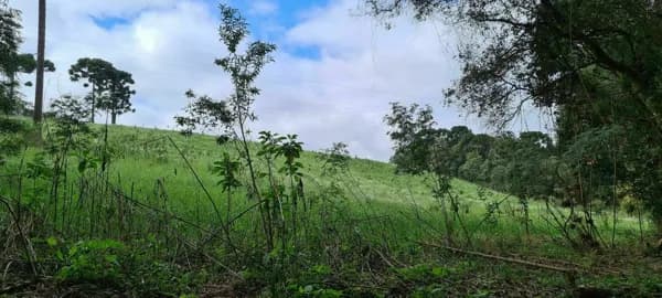 Área Rural E - Chácara para Formar - Rodeio Santo Antonio!