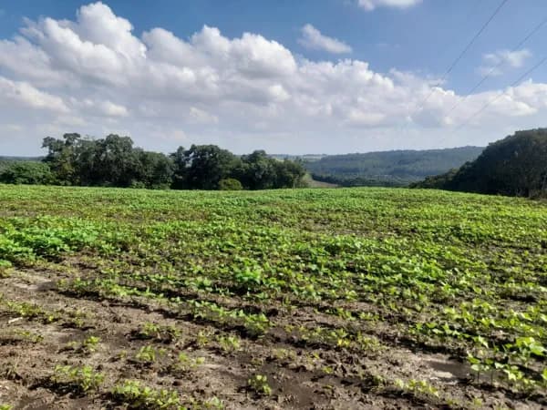 Área Rural 5,00 Alqueires - Lagoão!