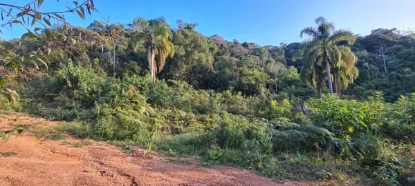 Área Rural - Pedra Azul ! Area para Formar Chácara! **Oportunidade**