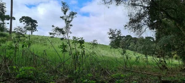 Área Rural C -20.012m² - Chácara para Formar - Rodeio Santo Antonio!