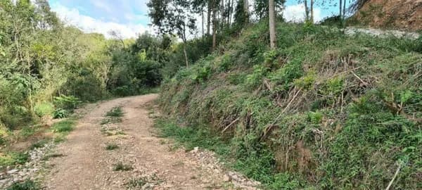 Área à venda no bairro Santo Antonio - Balsa Nova/PR