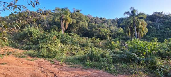 Área Rural - Pedra Azul ! Area para Formar Chácara! **Oportunidade**