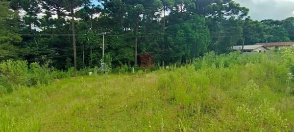 Terreno Residencial - Vila Bancária!!