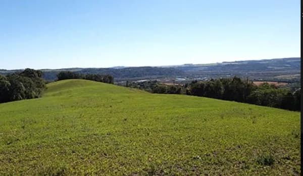 Área Rural 11,00 Alqueires - Lagoão - Balsa Nova-PR!