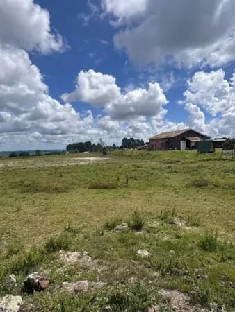 Chácara -Área para formação 24.200m² - São Luiz Purunã - Balsa Nova/PR