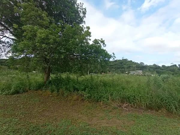 Terreno 5000m2 - Fazendinha - Miqueleto!