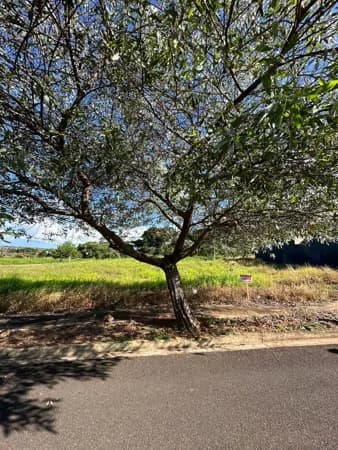Lote/Terreno em Votuporanga - Jardim Alto Alegre