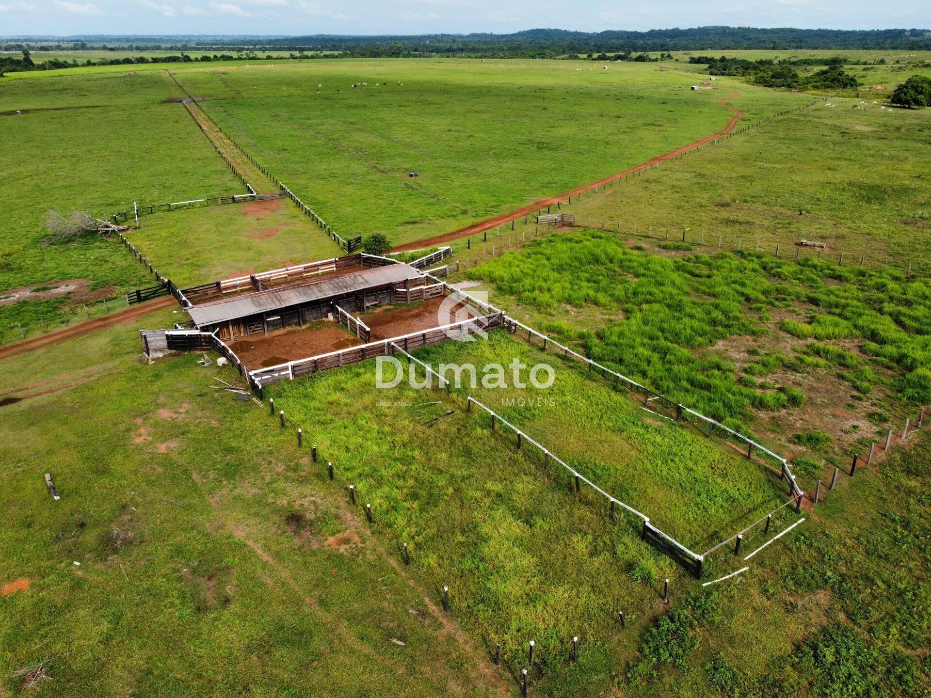 Fazenda na Pecuária em Colíder/MT