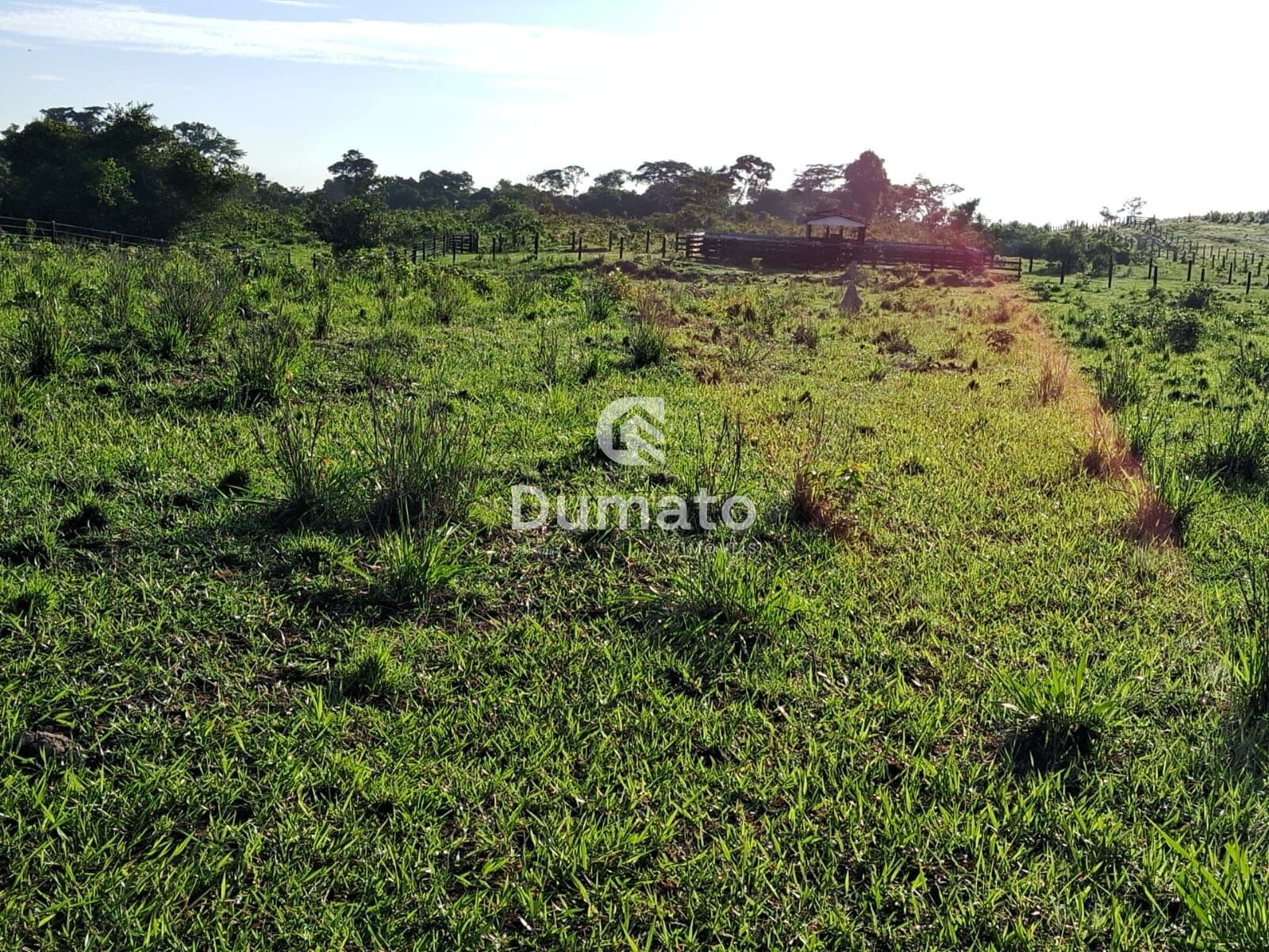 Fazenda na Pecuária em Nova Canaã do Norte/MT