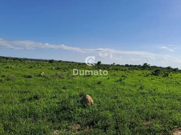 Fazenda Mista (Pecuária e Lavoura) em Nova Canaã do Norte/MT
