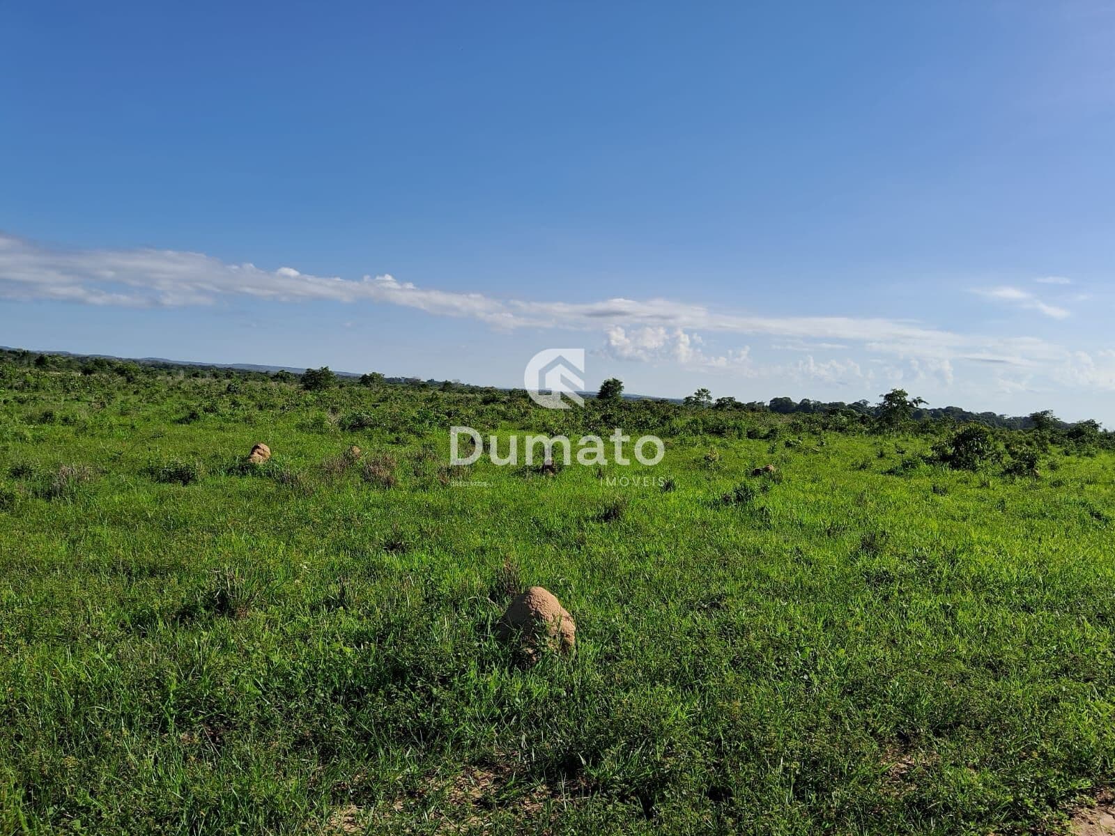 Fazenda Mista (Pecuária e Lavoura) em Nova Canaã do Norte/MT