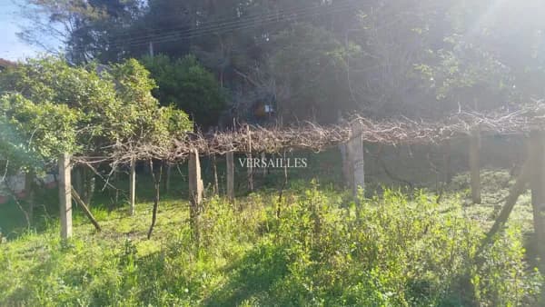 Lote/Terreno em Marau - Centro