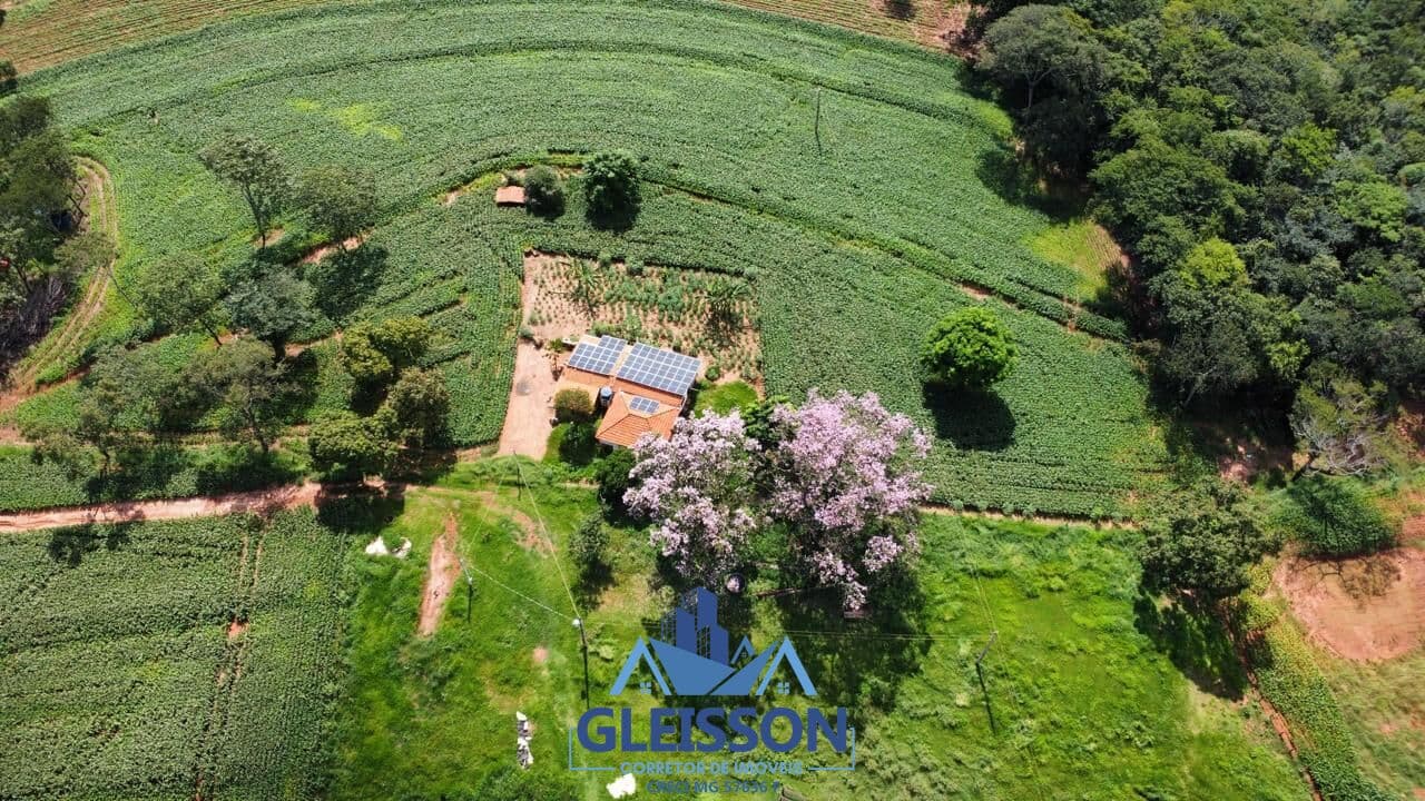 Fazenda/Sítios/Chácaras em Gurinhatã - Flor de Minas
