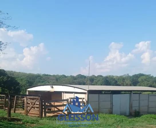 Fazenda/Sítios/Chácaras em Gurinhatã - Centro