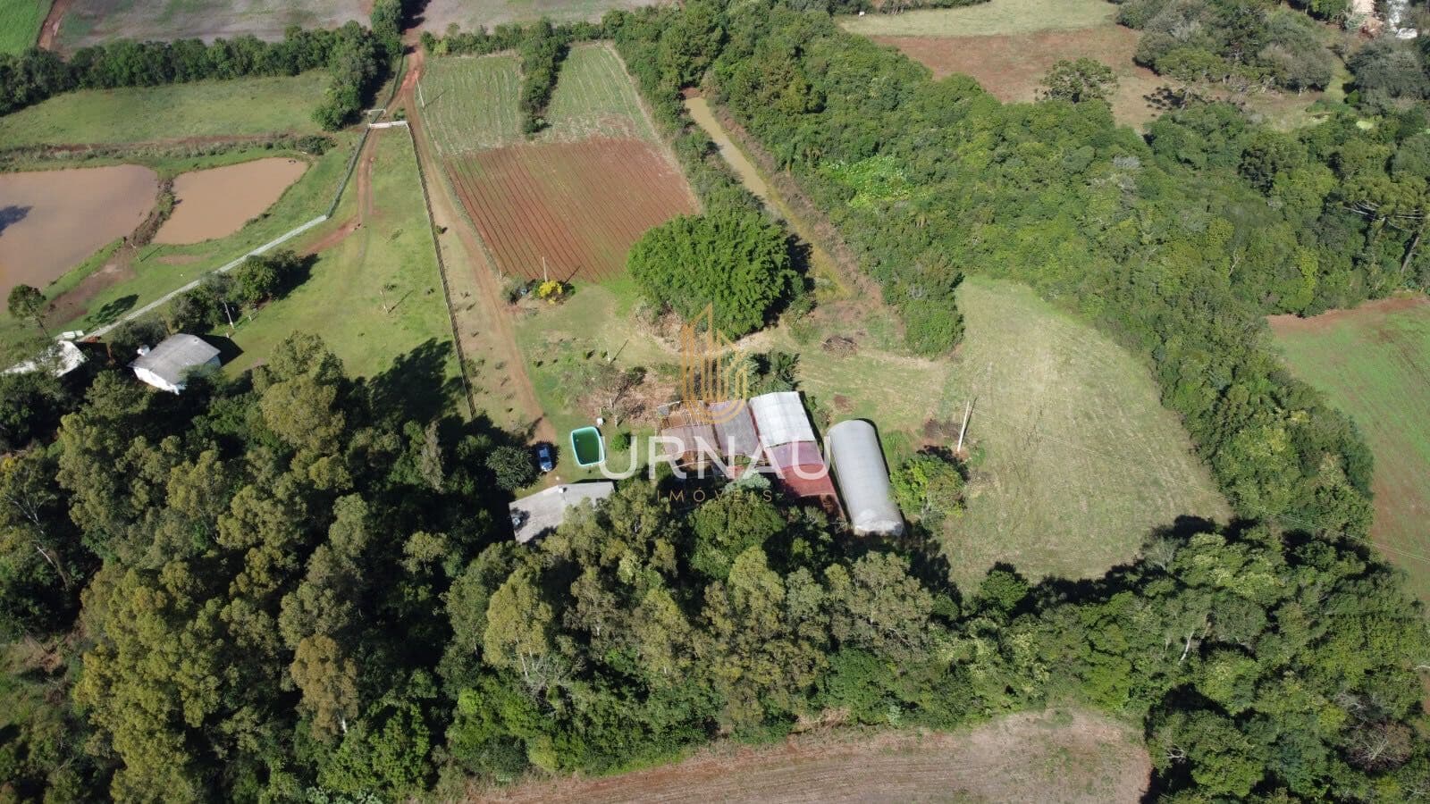 Fazenda/Sítios/Chácaras em Quinze de Novembro - Três Palmeiras