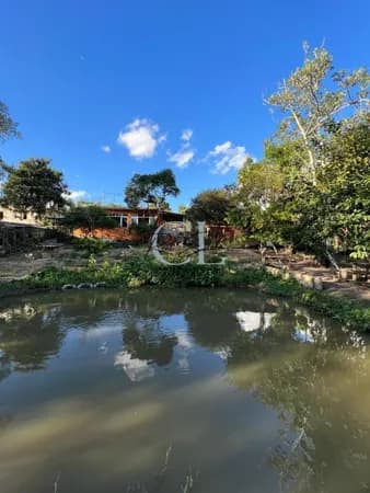 Fazenda/Sítios/Chácaras em Prata - Centro