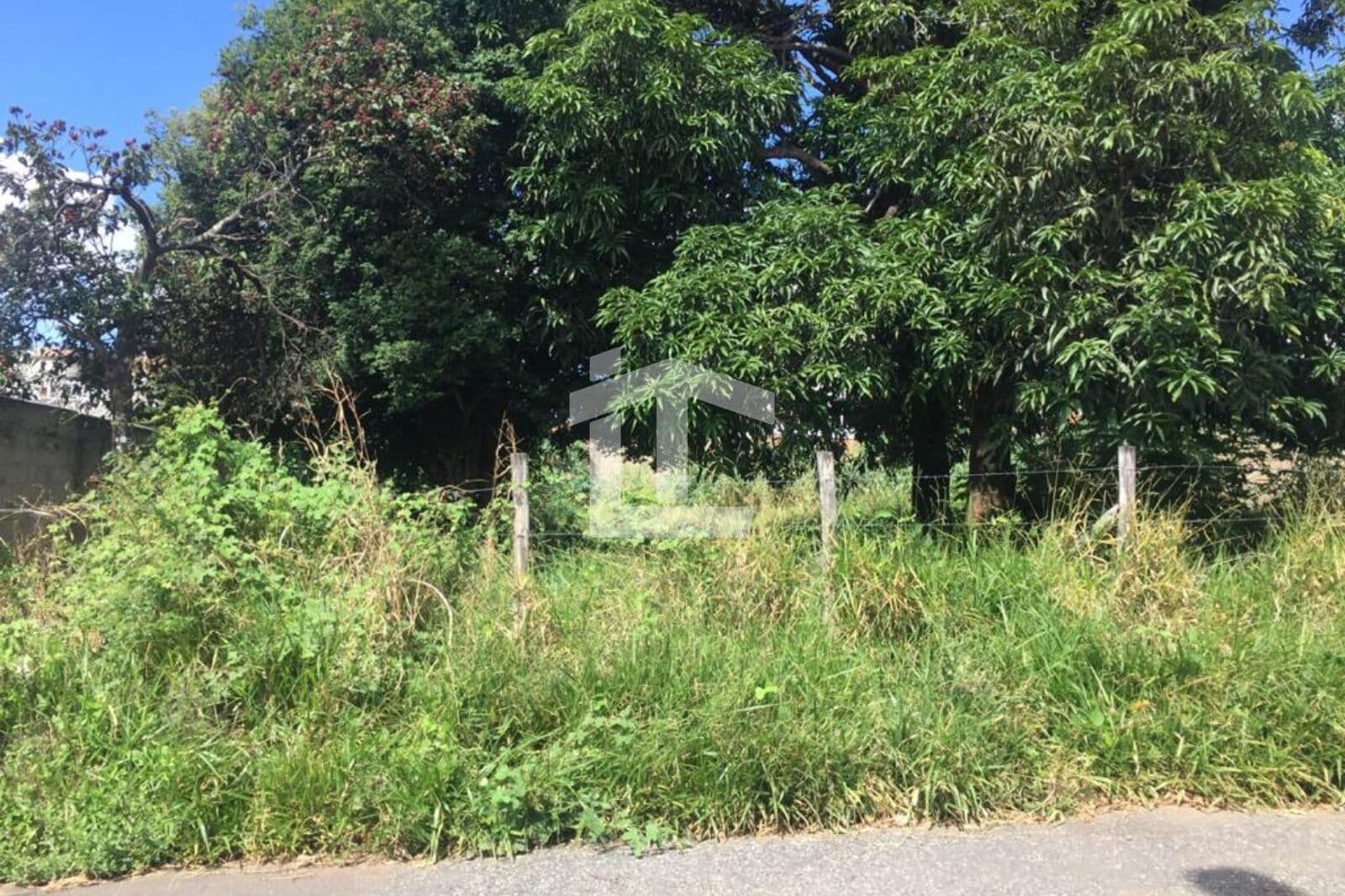 Lote Santa Rita de Cássia