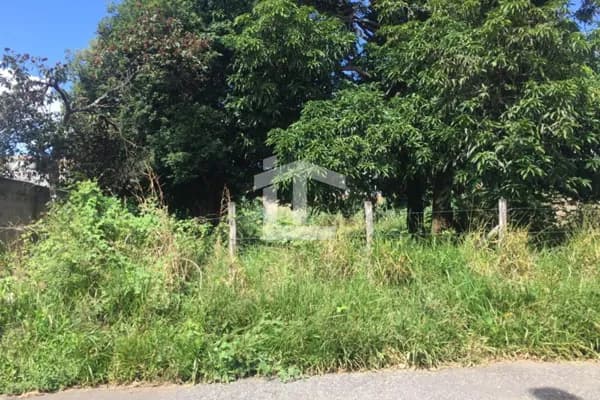 Lote Santa Rita de Cássia