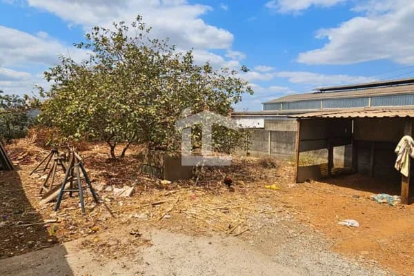 Lote São João