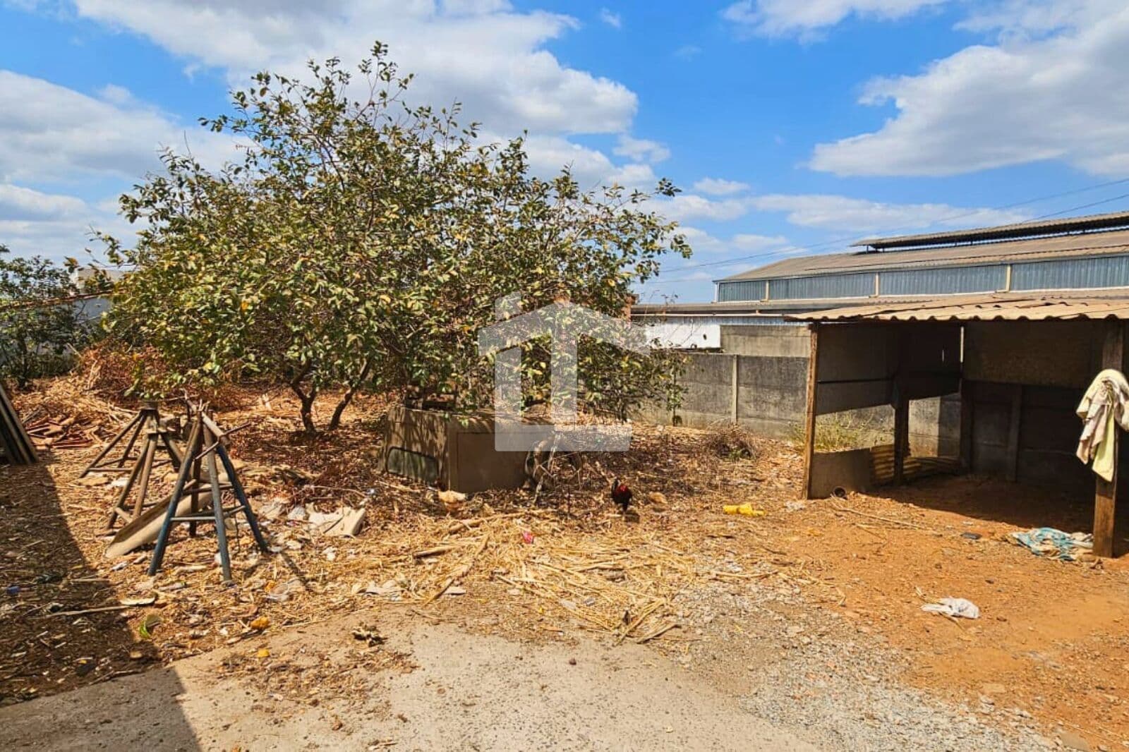 Lote São João