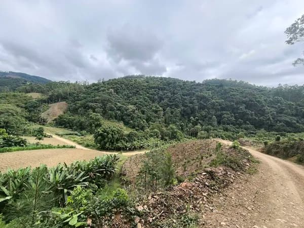 Fazenda/Sítios/Chácaras em Apiúna - Centro