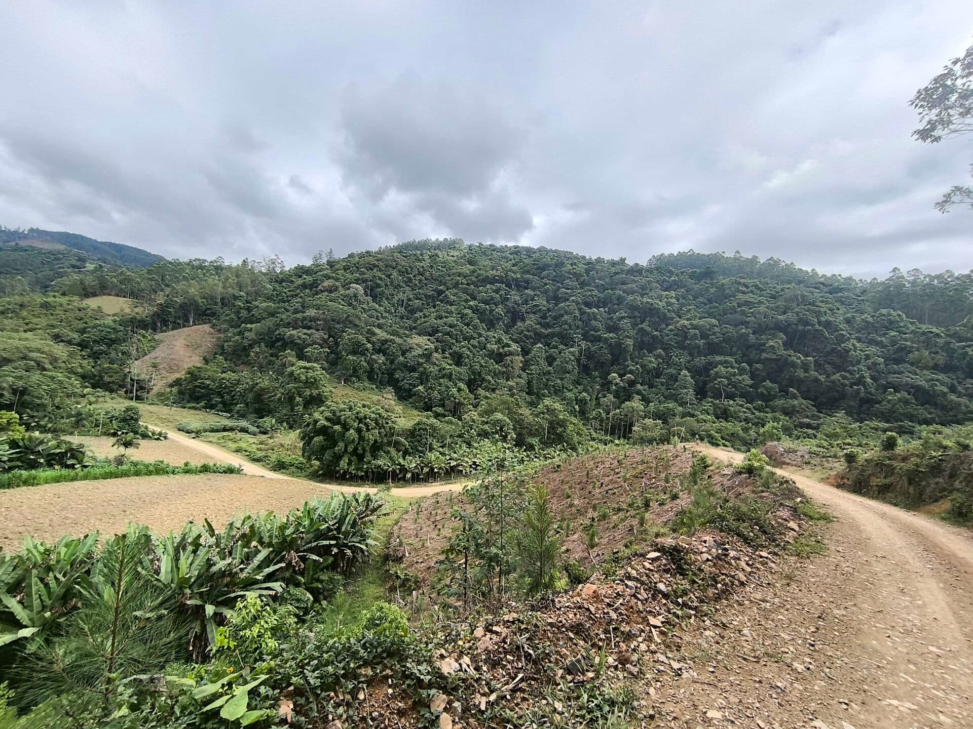 Fazenda/Sítios/Chácaras em Apiúna - Centro