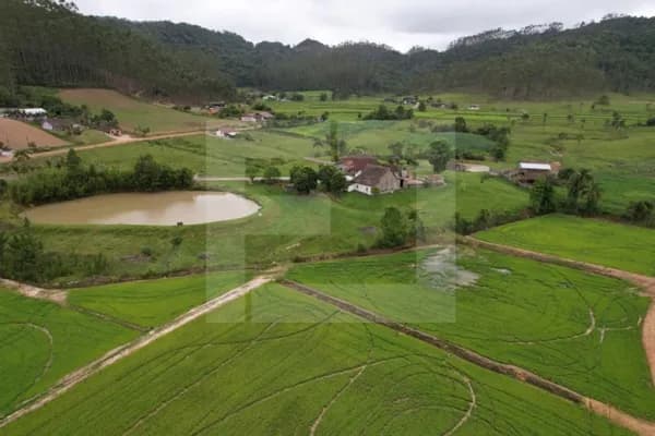 🌿 Chácara com 44 hectares em Doutor Pedrinho – SC