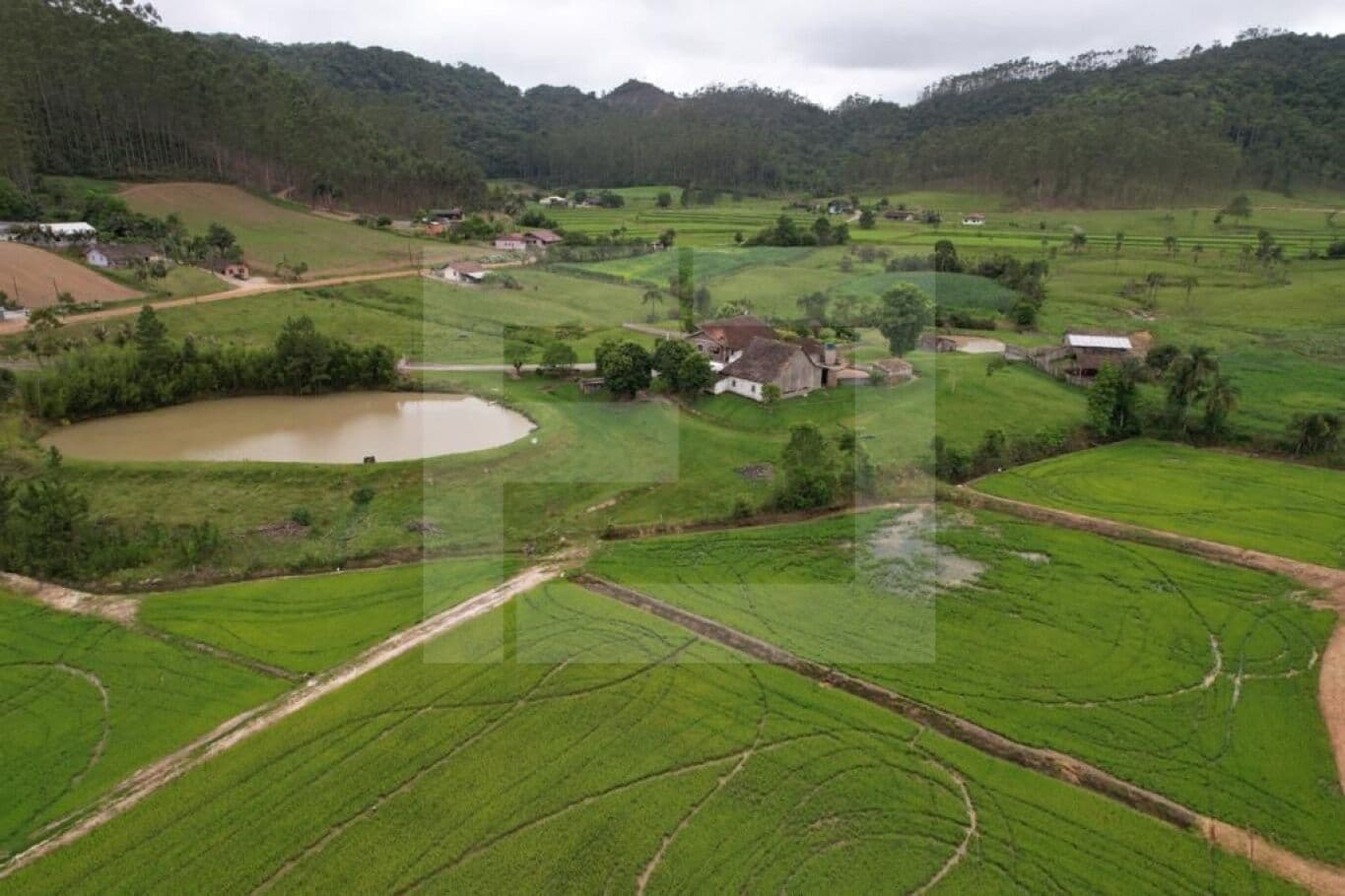 🌿 Chácara com 44 hectares em Doutor Pedrinho – SC