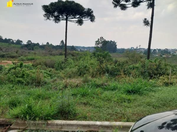 Terreno para Venda em Centro Tijucas do Sul-PR