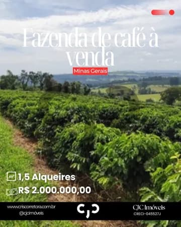 Fazenda de Café - MG