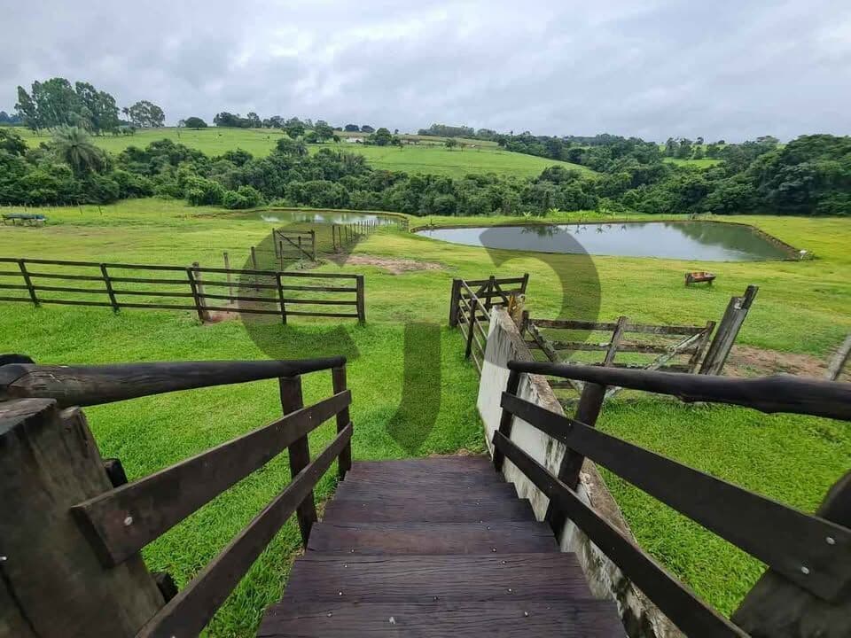 Sítio - Cássia dos Coqueiros - SP