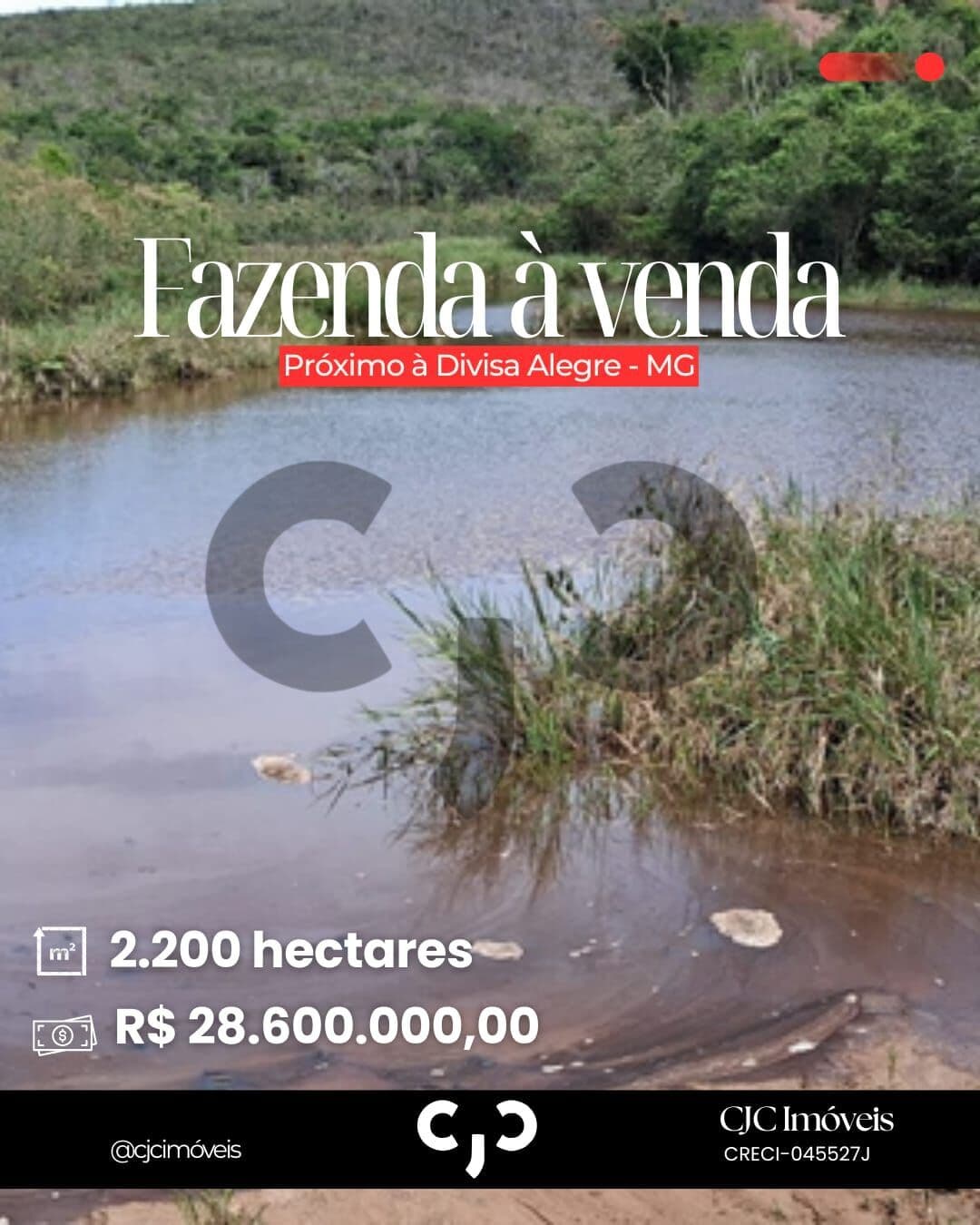 Fazenda Próxima à Divisa Alegre - MG